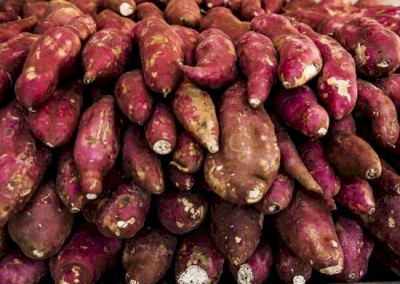 Batata-doce e abacate sobem de pre&ccedil;o, j&aacute; banana-prata e ma&ccedil;&atilde; ficam mais baratas