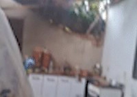 &Aacute;rvore ignorada por anos destr&oacute;i casa e deixa diarista sem teto