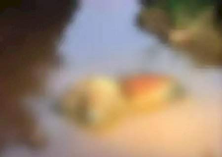 Homem &eacute; achado morto em c&oacute;rrego da Ernesto Geisel