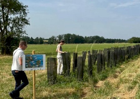 Floresta em pé: Lavoura e árvores reduzem impacto de mudança climática