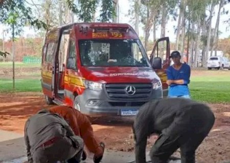 Trabalhador cai do telhado do Detran durante limpeza de calhas