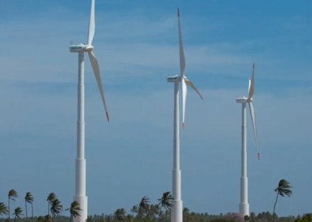 Brasileiros acreditam que economia verde trará novos empregos