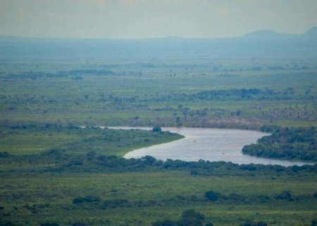 Pantanal de MS perdeu 4,3 milh&otilde;es de hectares de vegeta&ccedil;&atilde;o