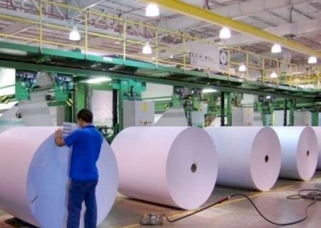Nova fronteira de eucalipto em MS tem capacidade de dobrar produ&ccedil;&atilde;o de celulose