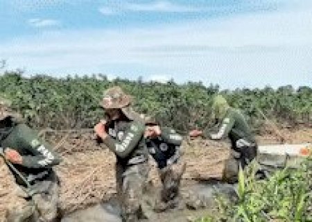 Policiais recebem treinamento desafiador para atuar em opera&ccedil;&otilde;es no Pantanal
