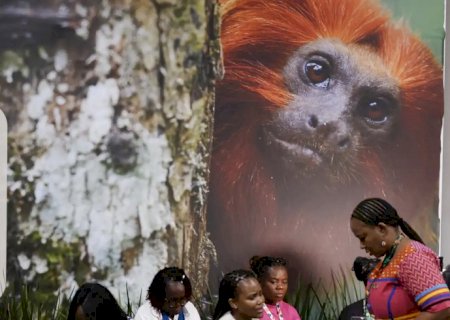 COP30: financiamento, transição e adaptação são centro das negociações
