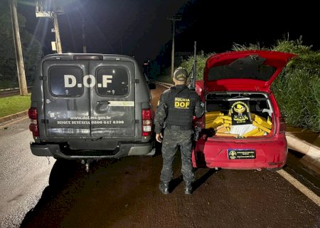 DOF apreende 282 quilos de maconha em Maracaju