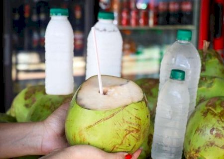 Calor aumenta demanda e &aacute;gua de coco vai de R$ 3,90 a R$ 29,50 em Campo Grande