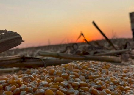 Lavoura responde por 65% da receita do agroneg&oacute;cio sul-mato-grossense