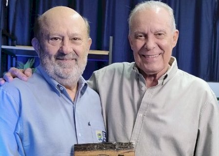 Novilho Precoce melhora a produtividade da pecu&aacute;ria