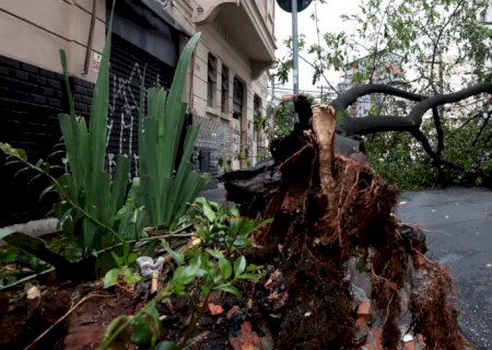 São Paulo enfrenta ventos de quase 100 km/h nesta quarta-feira