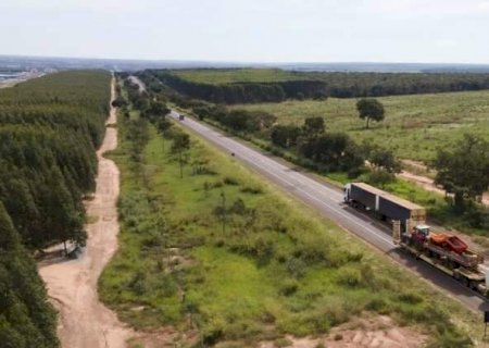 TJ nega recurso de empresa exclu&iacute;da de disputa bilion&aacute;ria pela Rota da Celulose