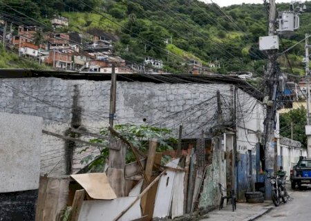 Dois em cada três habitantes de favela moram em vias sem árvores