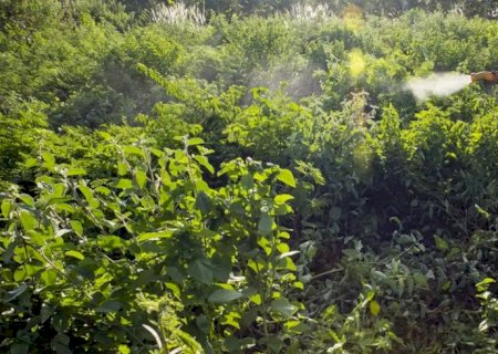 Campanha denuncia agronegócio por contaminações com uso de agrotóxicos