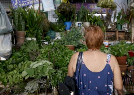 Tradição e fé impulsionam busca por banhos e ervas no fim de ano