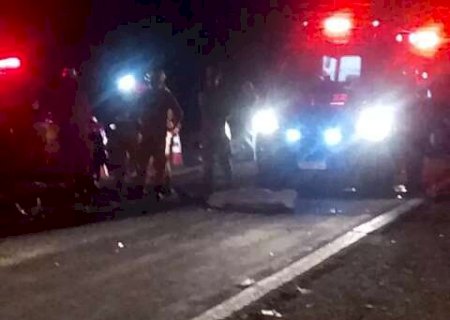 Motociclista morre após atingir capivara e ser atropelada na BR-262
