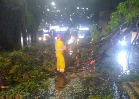 Ciclone deixa 2 milhões de clientes sem energia em São Paulo