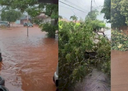 Forte chuva volta a alagar ruas e provocar estragos em Campo Grande
