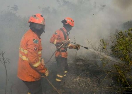 &Aacute;rea queimada em MS cai 91% e tem melhor resultado desde 1998