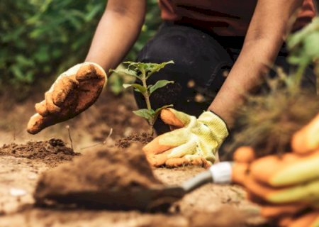 Minist&eacute;rio da Agricultura define regras para selos de boas pr&aacute;ticas no campo