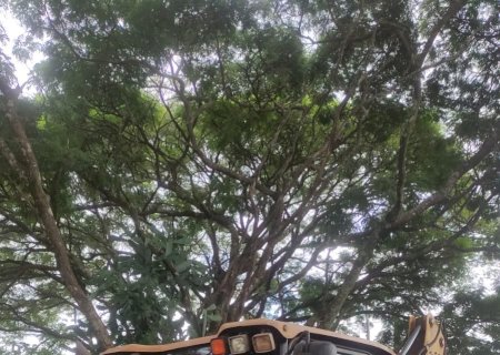 Homem é  assassinado em ponta Porã enquanto trabalhava