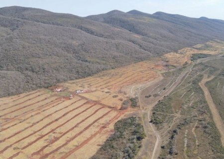 Dados apontam redução histórica no desmatamento do Pantanal em 2025