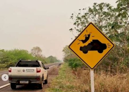 Estudo in&eacute;dito aponta que placas de travessia de fauna pouco reduzem acidentes