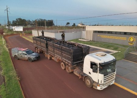 Irmãos são presos em Maracaju com 200 pneus de caminhão que seriam entregues em MT
