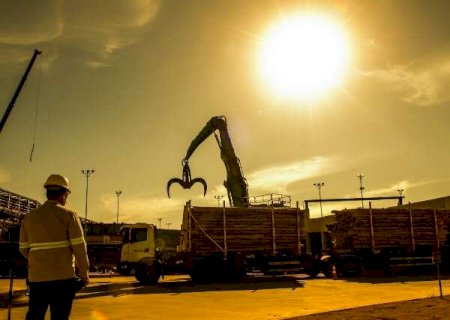 Ind&uacute;stria do setor florestal abre vagas em duas cidades de MS