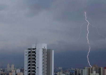 SP registra desabamentos e quedas de árvore por chuva forte