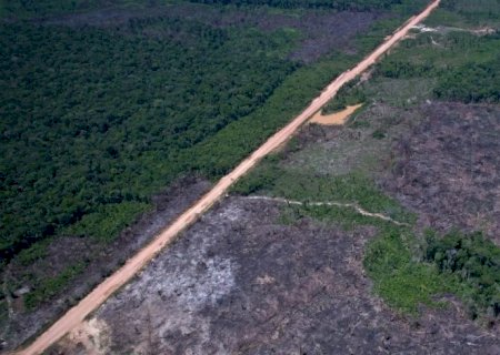 Alertas de desmatamento caem 35% na Amazônia e 6% no Cerrado