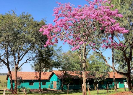 Justiça manda reabrir ação de improbidade administrativa envolvendo o Instituto Agrícola do Menor