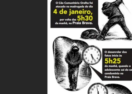 Cão Orelha: Polícia usa imagens e dados de celular para desvendar caso
