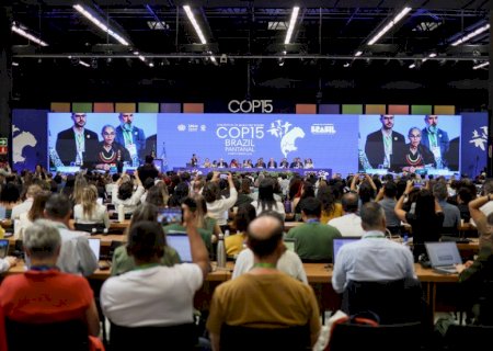 Brasil tenta incluir Rio da Prata em lista global de conservação durante conferência da ONU
