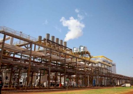 MS projeta safra recorde com 5 bilh&otilde;es de litros de etanol