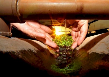 Produtores do MS utilizam técnicas sustentáveis para preservar a água das propriedades