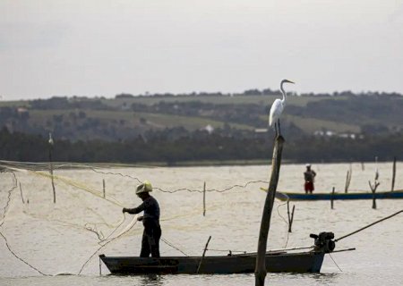 Sexto lote do seguro-defeso será disponibilizado na terça-feira