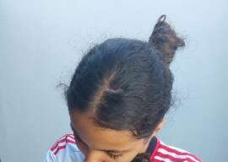 Gatinho desaparecido no Oliveira 2 &eacute; encontrado por vizinho