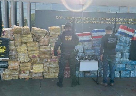Operação conjunta apreende 4 toneladas de maconha e sete pistolas na zona rural de Dourados