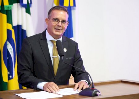Inspetor Cabral solicita informações sobre contrato de manejo da arborização urbana