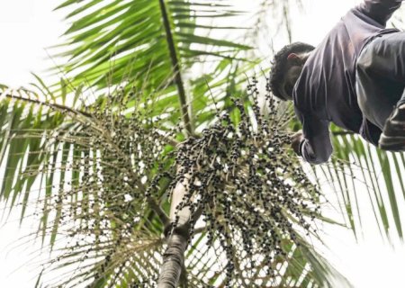 Governo investe R$ 132 milhões em regularização fundiária na Amazônia