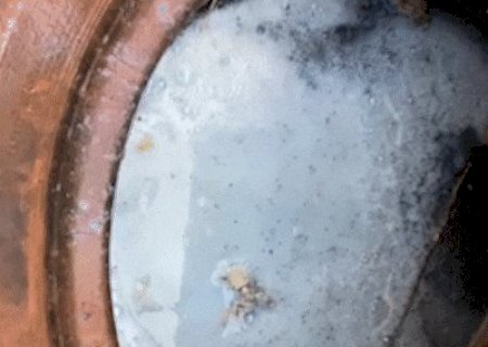 Justi&ccedil;a libera entrada for&ccedil;ada em im&oacute;veis ap&oacute;s alta de chikungunya na Regi&atilde;o Sul
