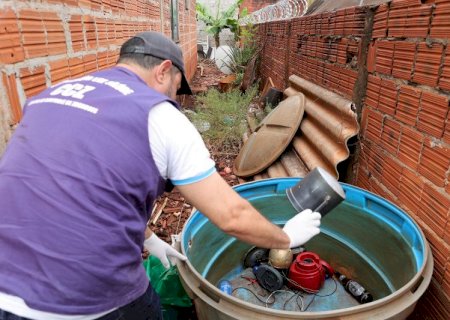 Regiões com maior incidência de chikungunya recebem armadilhas contra mosquito