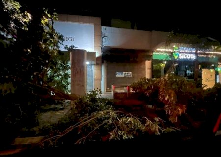 Temporal derrubou &aacute;rvores, destruiu fachada de vidro e alagou ruas