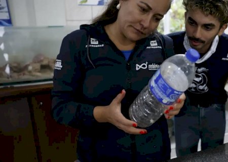 Mais de 93% dos peixes vendidos no litoral do Paraná têm microplástico