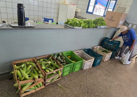 Idosos dos centros de convivência de Dourados recebem alimentos do PAA