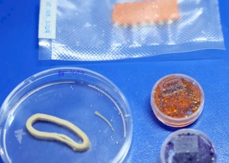 Embrapa produz em laboratório salmão, caviar e anéis de lula veganos