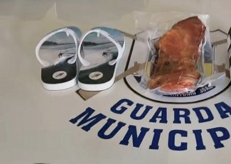 Guarda prende indivíduo que furtou loja e ameaçou funcionários em Dourados