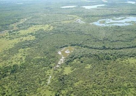 Governo seleciona empresa para vender cr&eacute;ditos de carbono
