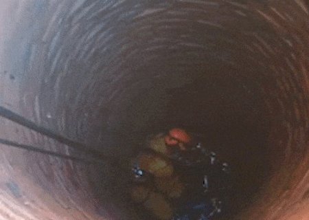 Cachorro cai a 15 metros de profundidade e &eacute; resgatado de fossa